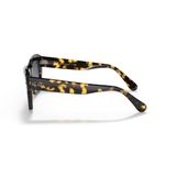 Kính mát RAYBAN RB2186 133286