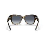 Kính mát RAYBAN RB2186 133286