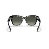 Kính mát RAYBAN RB2186 133371