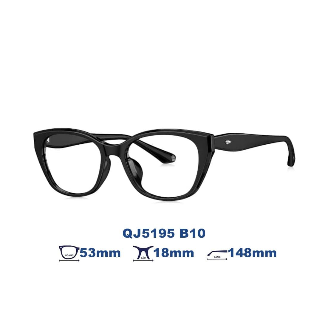 Gọng kính QINA QJ5195 B10
