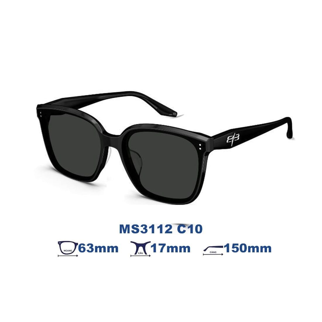Kính mát MOLSION MS3112 C10