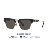 Kính mát Dolce & Gabbana DG6185 501/87