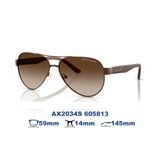 Kính mát Armani Exchange AX2034S 605813