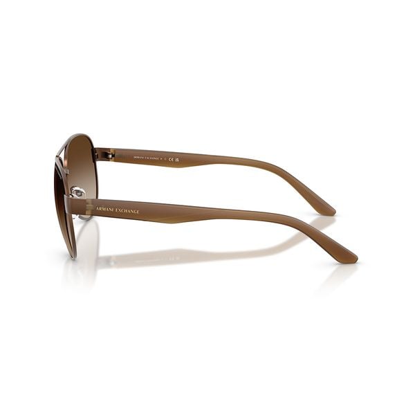 Kính mát Armani Exchange AX2034S 605813
