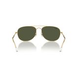  Kính mát RAYBAN RB3735 00131 