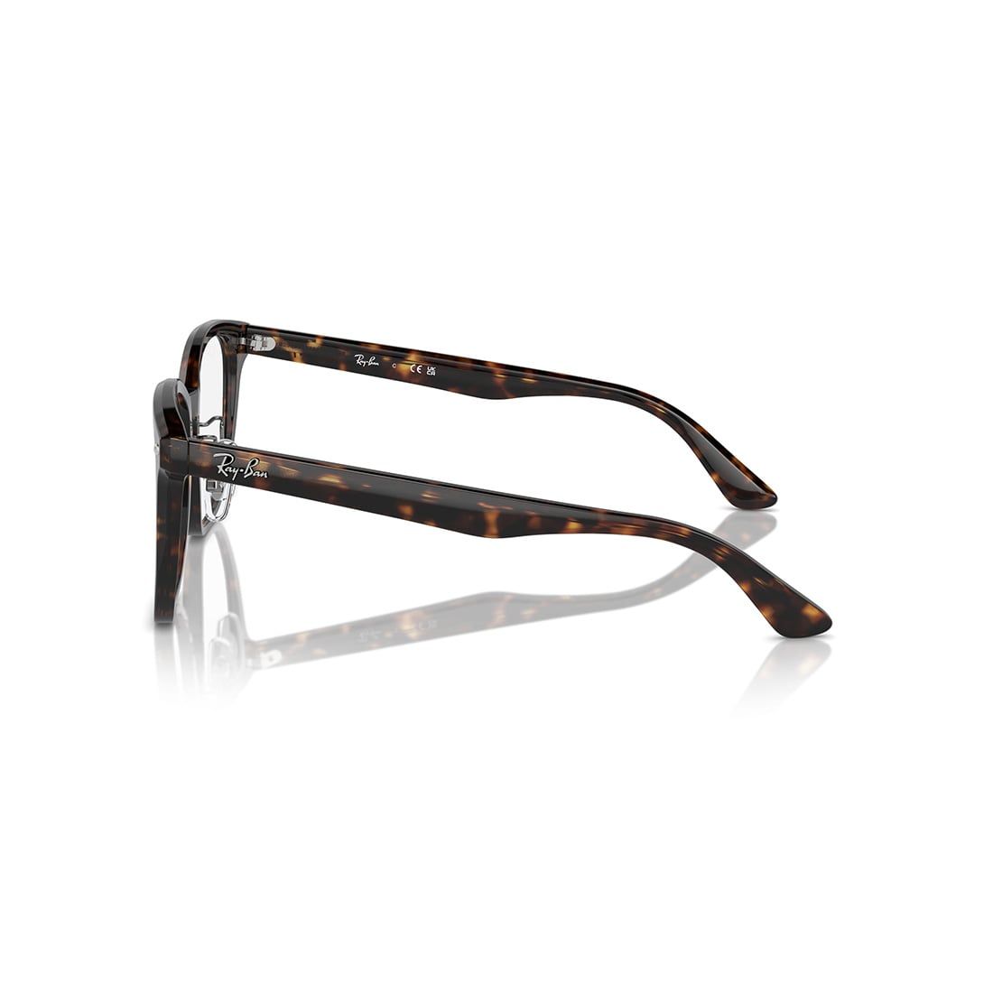  Gọng kính RAYBAN RX5425D 2012 