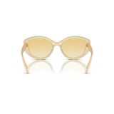  Kính mát Swarovski SK6005 10232Q 