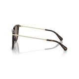 Kính mát Swarovski SK6015D 100273