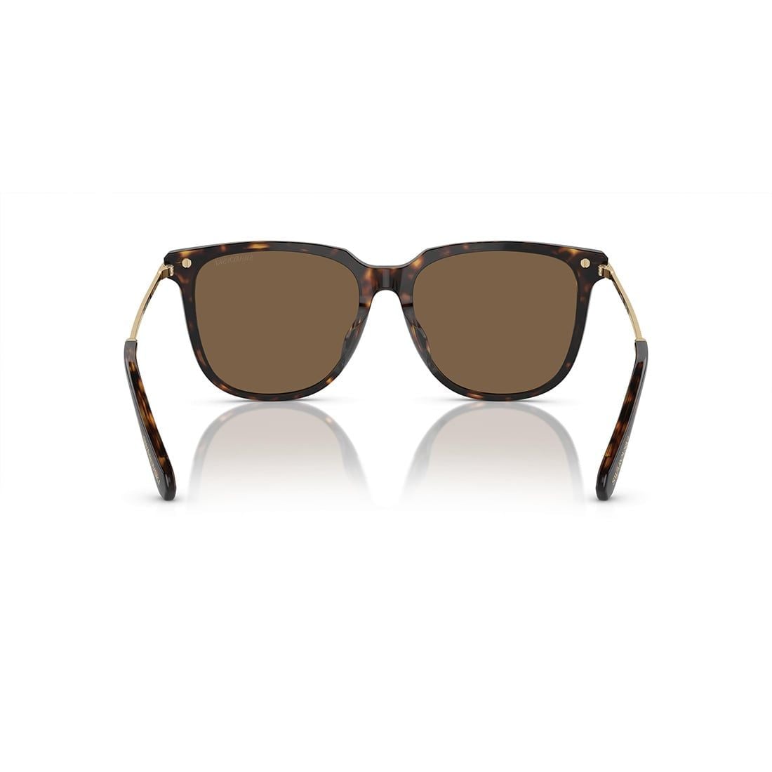 Kính mát Swarovski SK6015D 100273