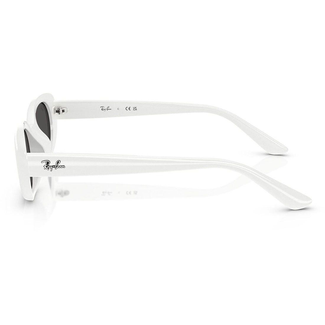  Kính mát RAYBAN RB4441D 677287 