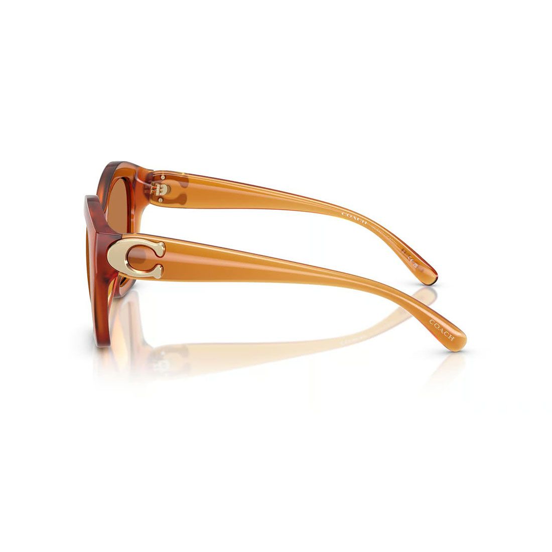  Kính mát Coach HC8421U 564773 