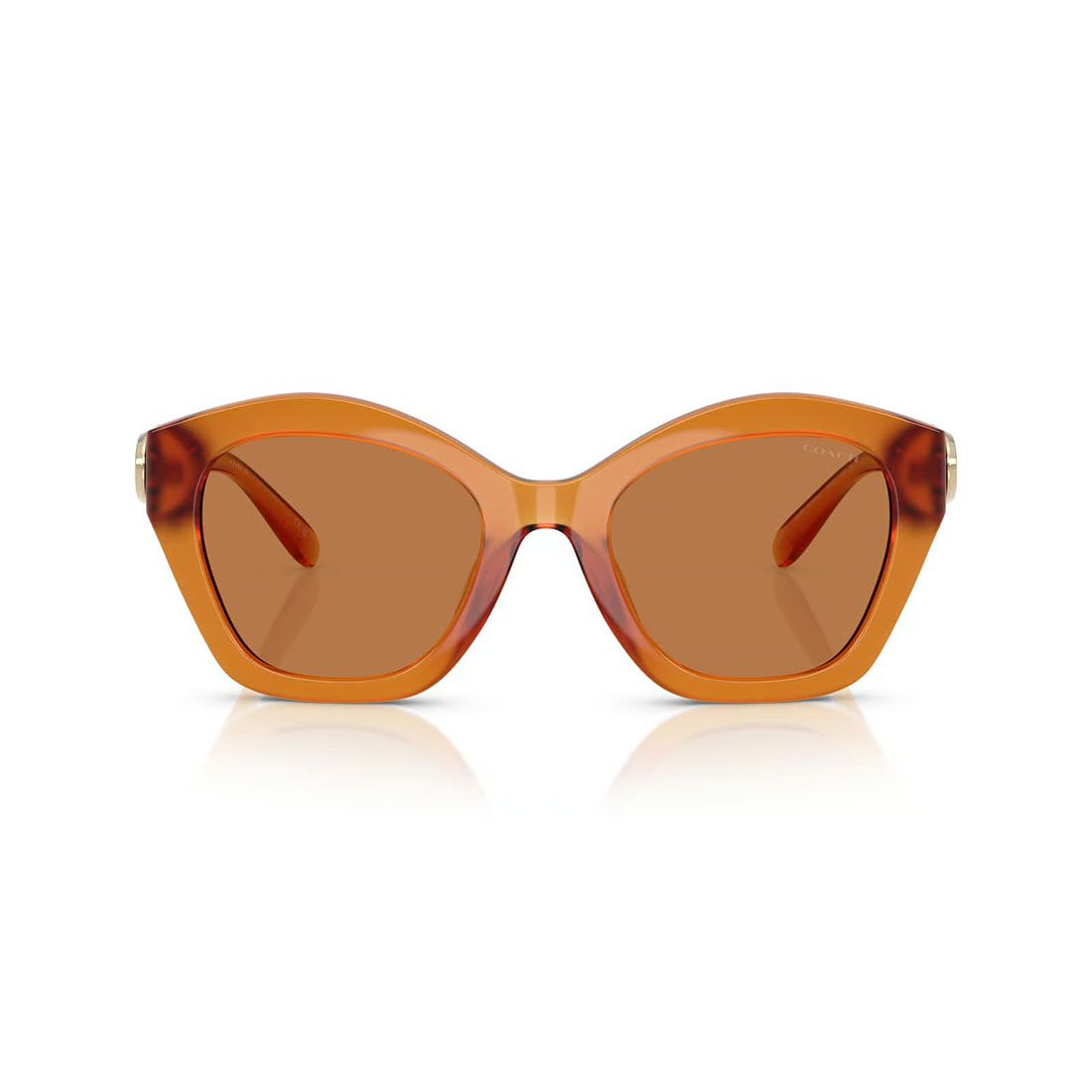  Kính mát Coach HC8421U 564773 