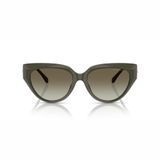  Kính mát MICHAEL KORS MK2241U 39023M 