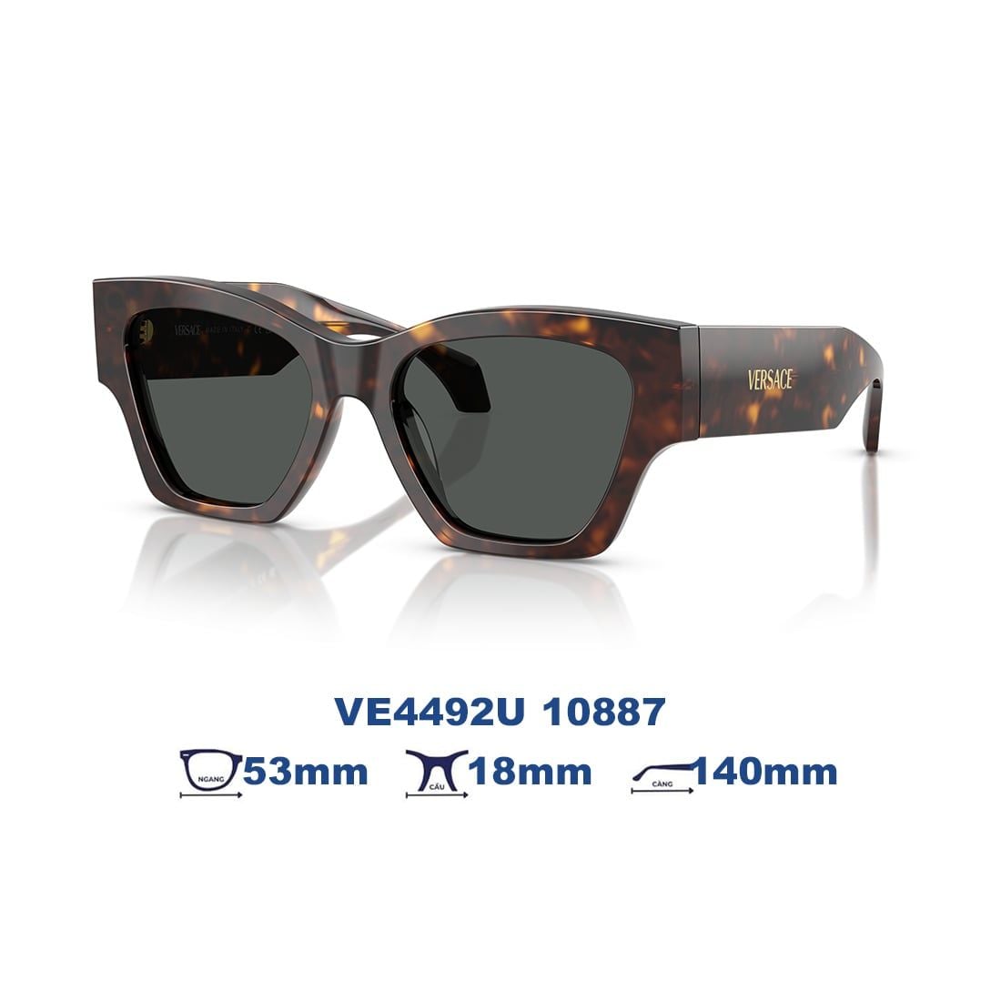 Kính mát VERSACE VE4492U 10887