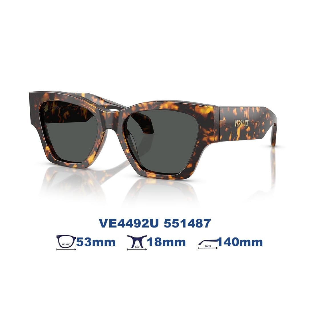 Kính mát VERSACE VE4492U 551487