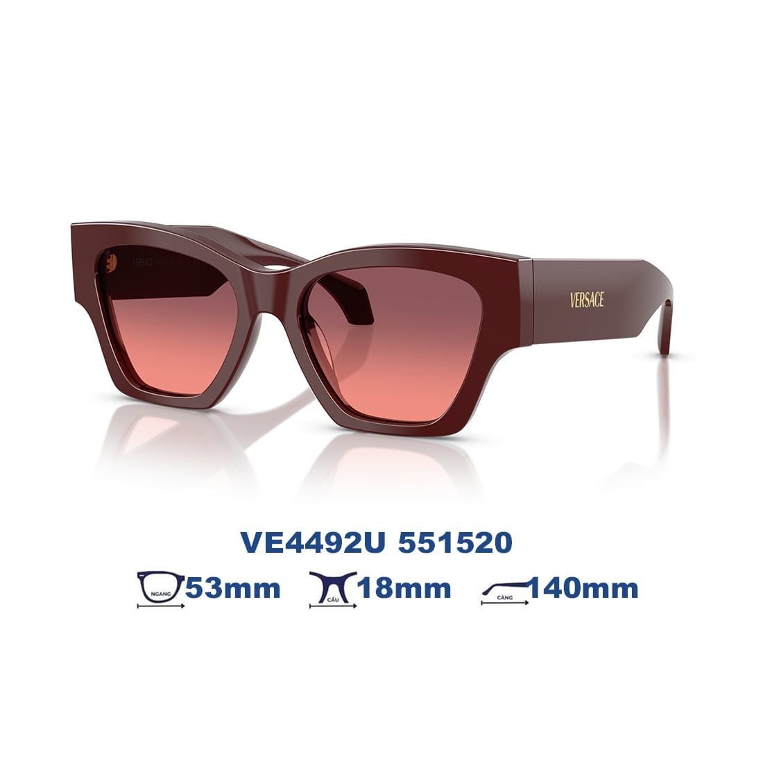 Kính mát VERSACE VE4492U 551520