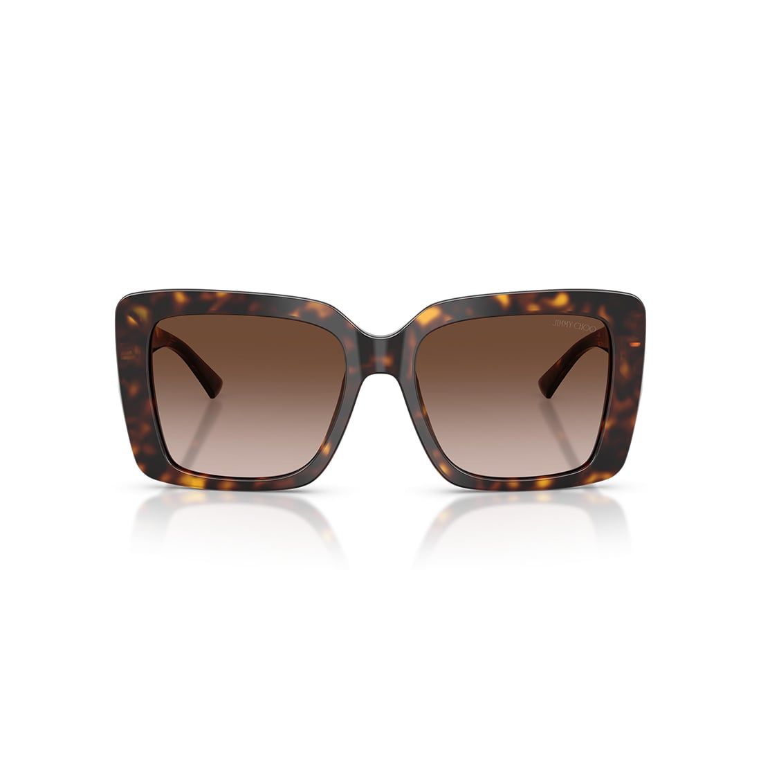  Kính mát JIMMY CHOO JC5042F 500213 