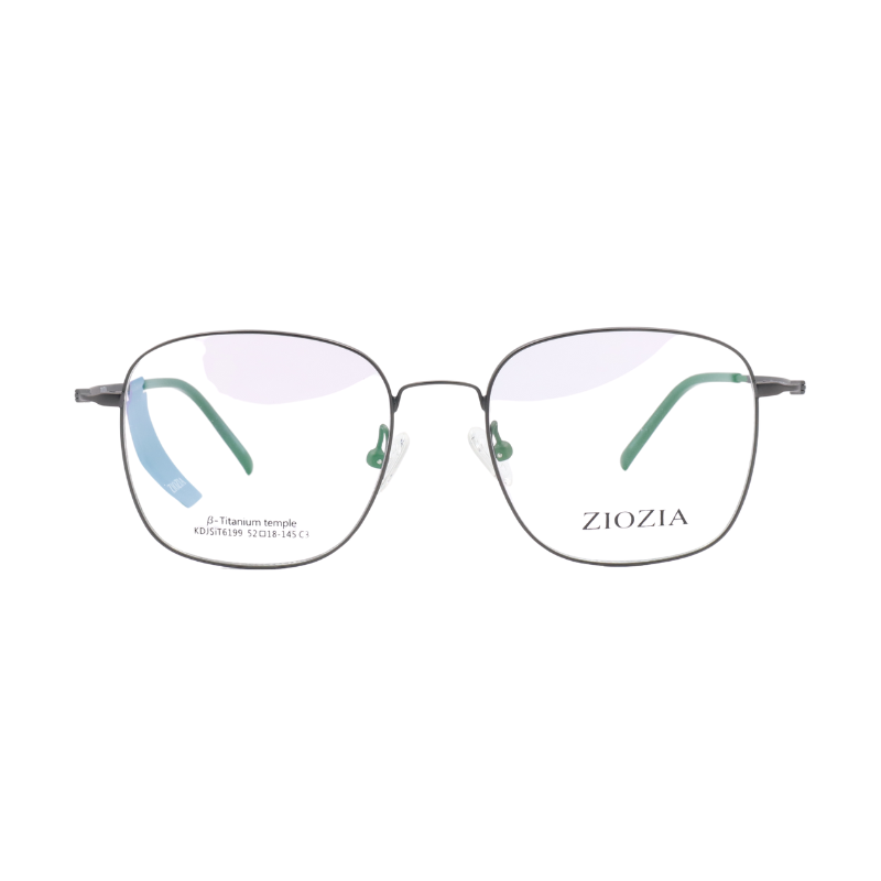 Gọng kính Ziozia KDJSIT6199 C3