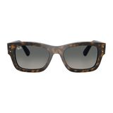 Kính mát RAYBAN RB7683S 140171