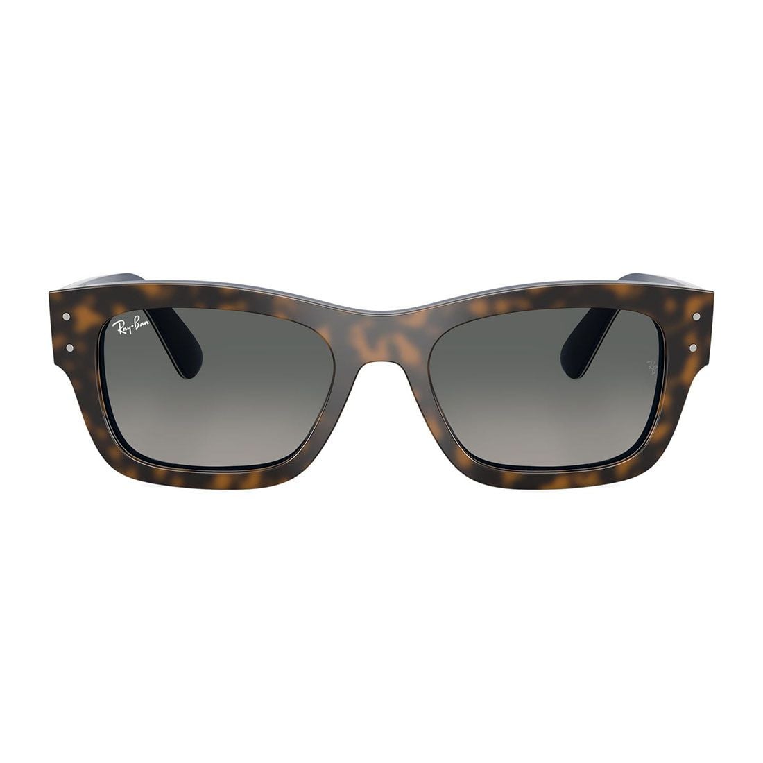 Kính mát RAYBAN RB7683S 140171
