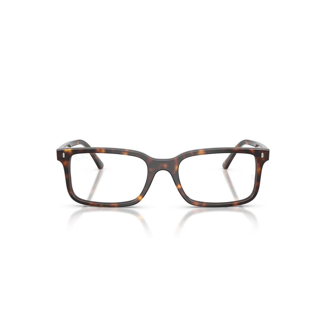 Gọng kính RAYBAN RB5445F 2012