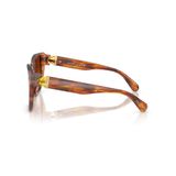 Kính mát Swarovski SK6044U 109174