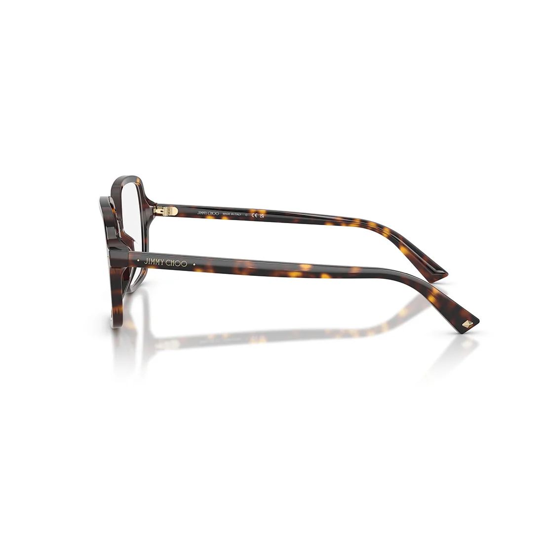 Kính mát Jimmy Choo JC3046U 5002 - Nâu đồi mồi
