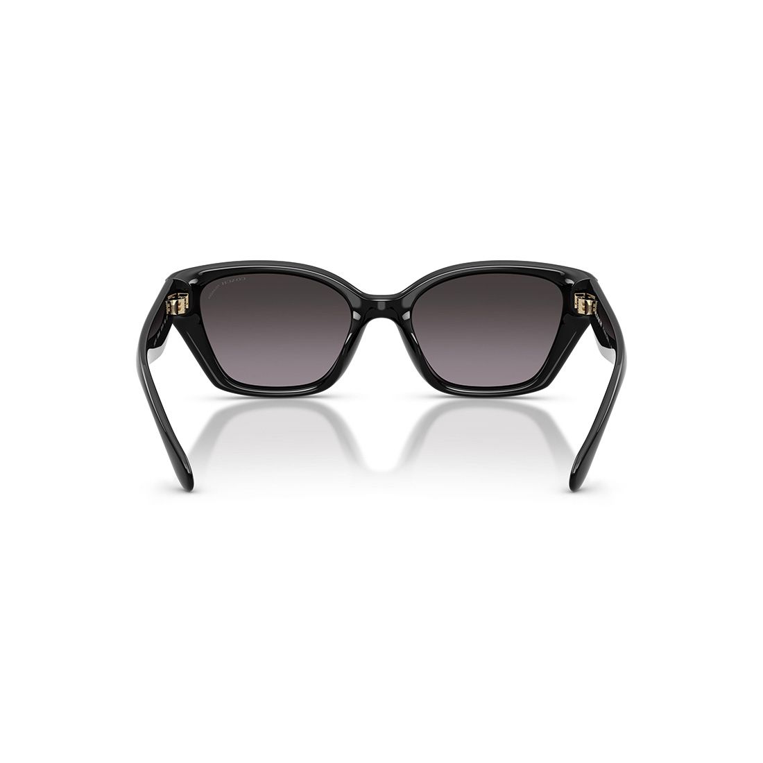  Kính mát Coach HC8434U 5002F4 