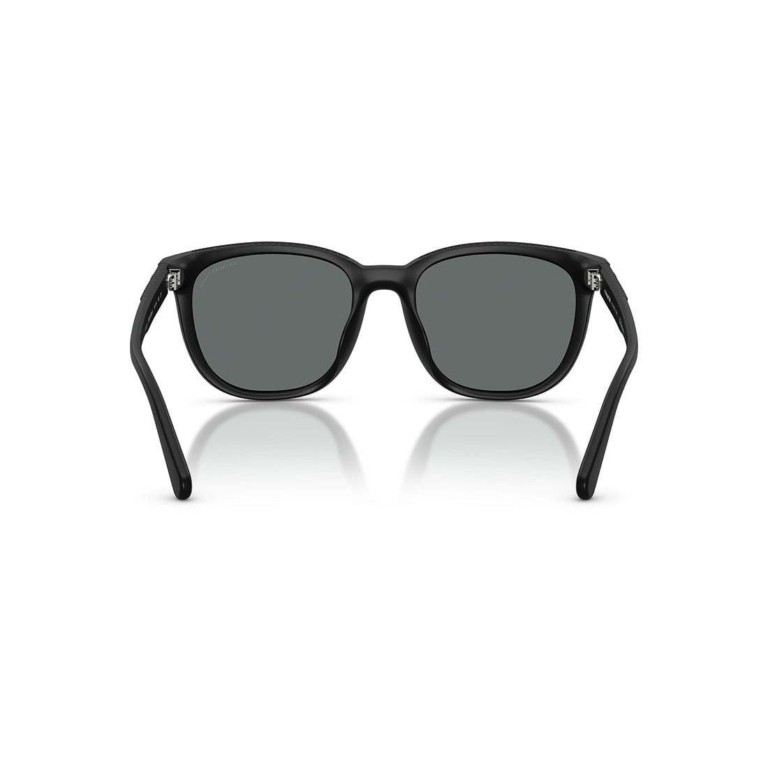  Kính mát Coach HC8442U 500281 