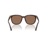  Kính mát Coach HC8442U 512073 