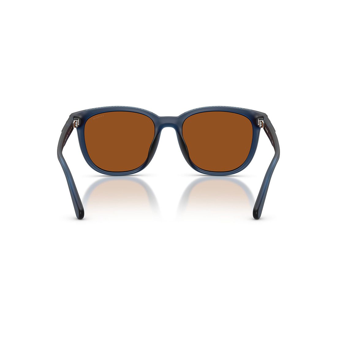  Kính mát Coach HC8442U 59127 