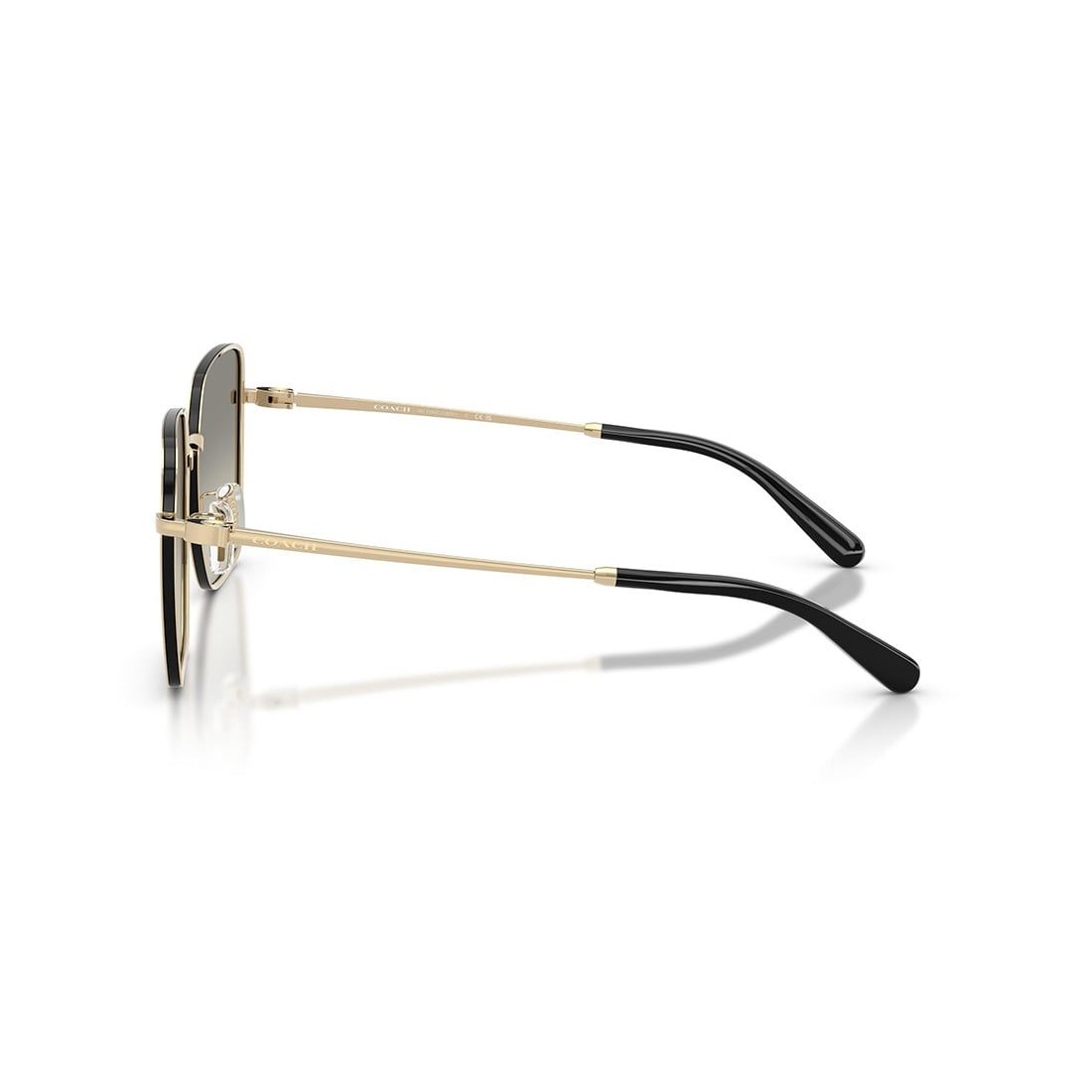  Kính mát Coach HC7184D 94643C 