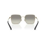  Kính mát Coach HC7184D 94643C 