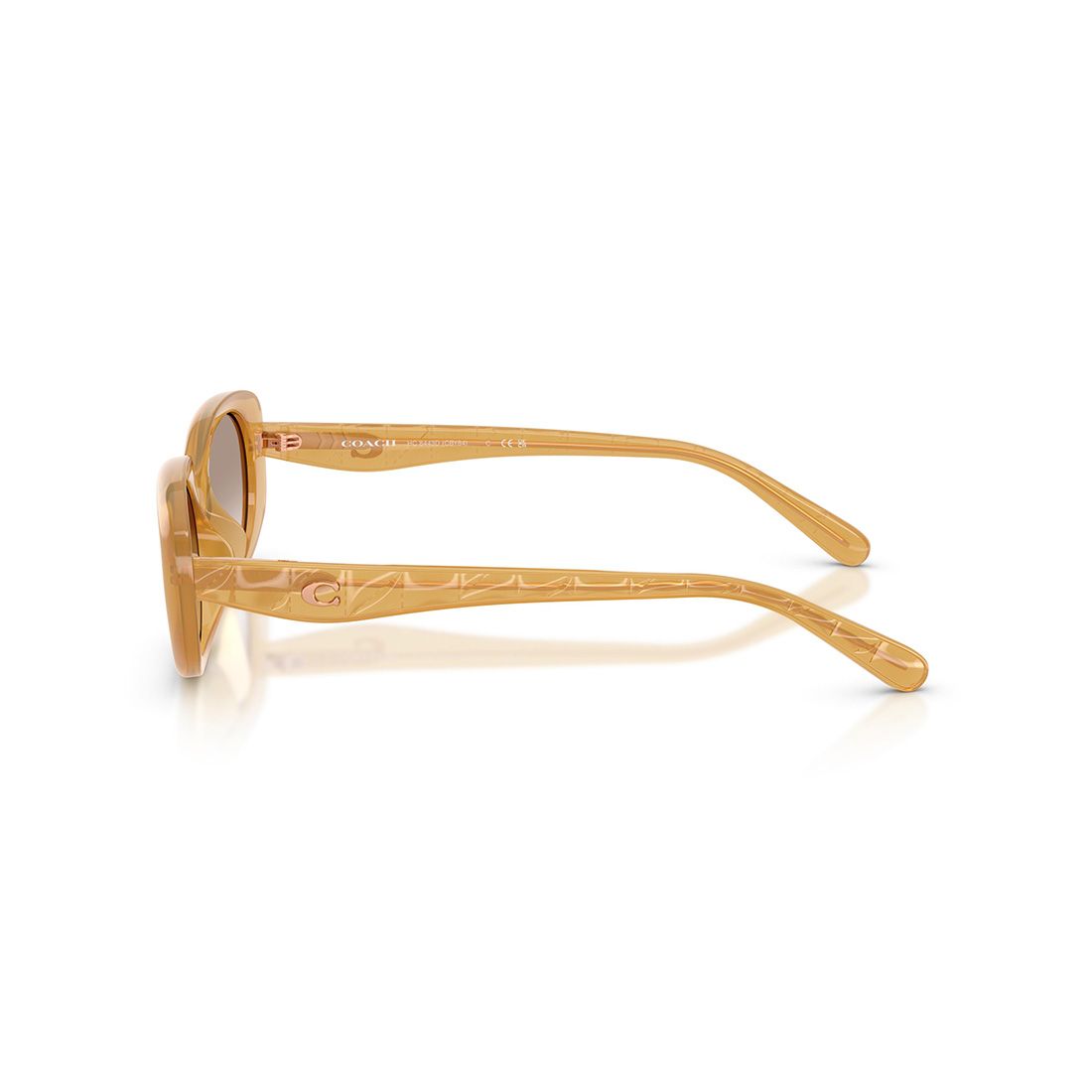  Kính mát Coach HC8443D 591313 