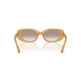  Kính mát Coach HC8443D 591313 