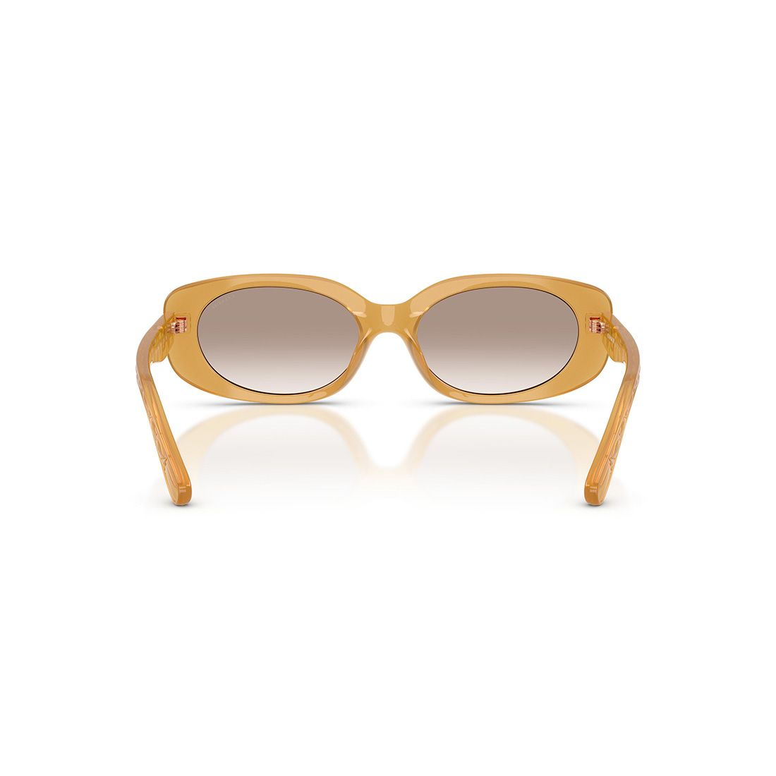  Kính mát Coach HC8443D 591313 