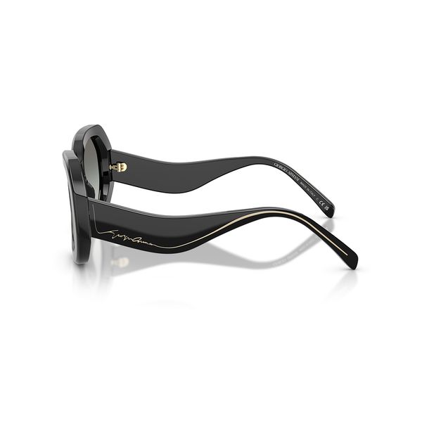 Kính mát Giorgio Armani AR8248 500111