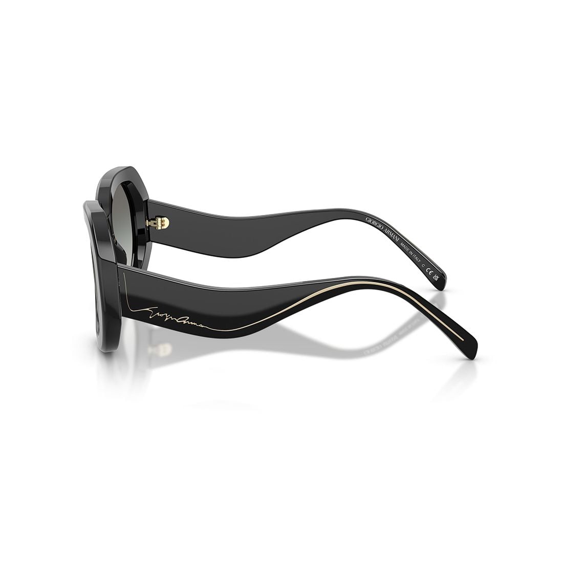  Kính mát Giorgio Armani AR8248 500111 