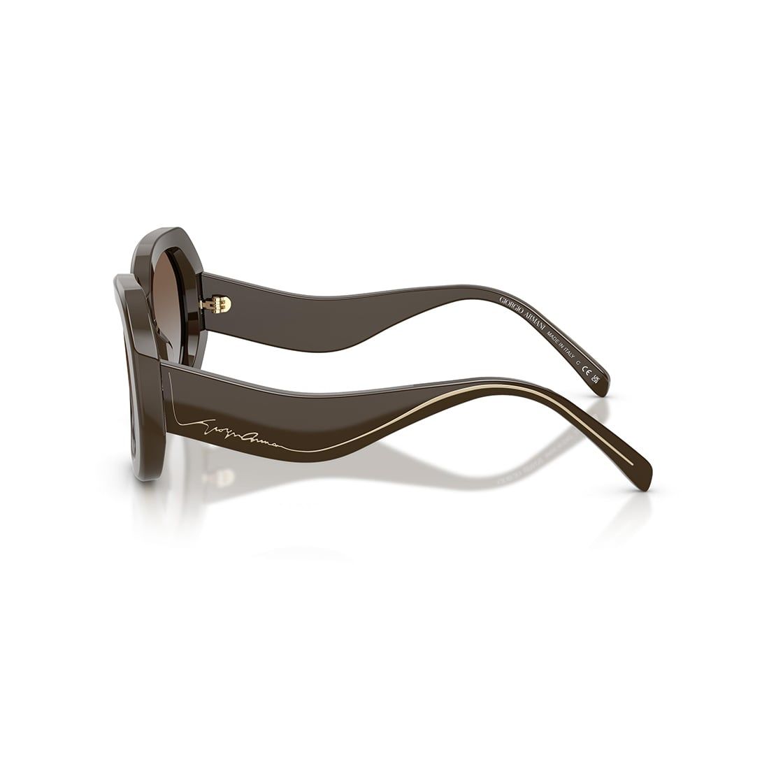  Kính mát Giorgio Armani AR8248 634089 