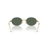 Kính mát RAYBAN RB3929 00171