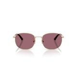 Kính mát JIMMY CHOO JC4025B 30061A