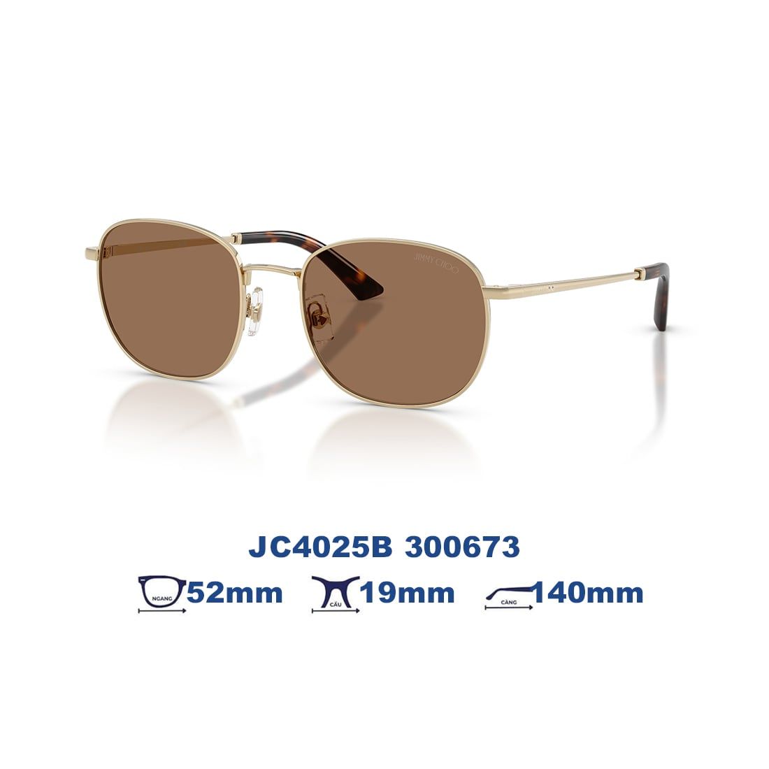 Kính mát JIMMY CHOO JC4025B 300673