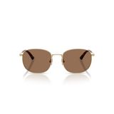 Kính mát JIMMY CHOO JC4025B 300673