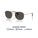 Kính mát JIMMY CHOO JC4025B 300687