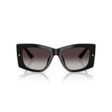 Kính mát JIMMY CHOO JC5061U 50008G