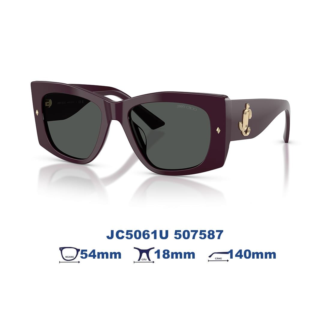 Kính mát JIMMY CHOO JC5061U 507587