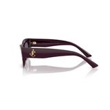 Kính mát JIMMY CHOO JC5063U 50751A