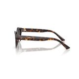  Kính mát JIMMY CHOO JC5064D 500287 
