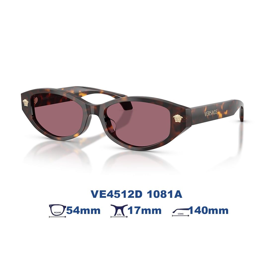 Kính mát VERSACE VE4512D 1081A