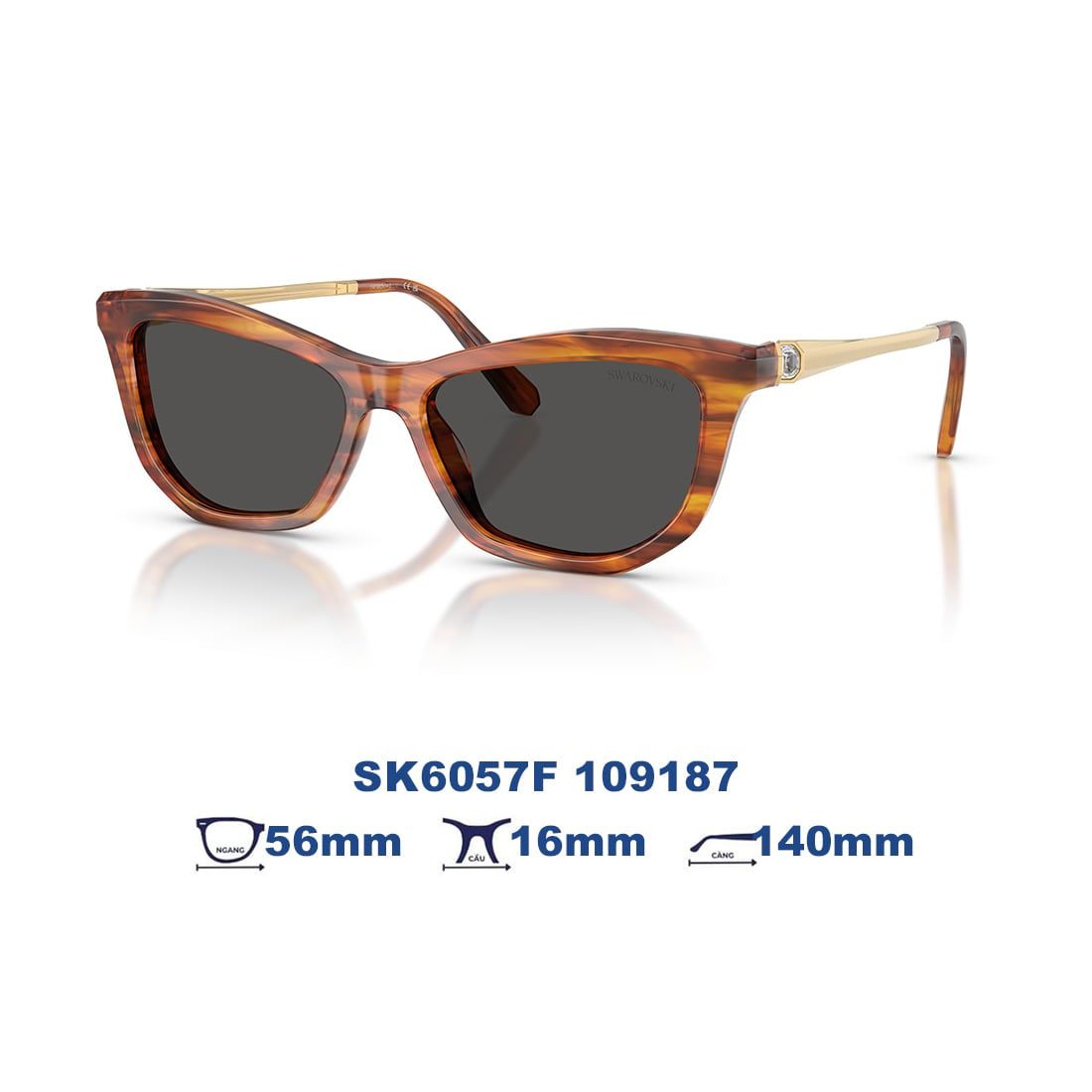 Kính mát Swarovski SK6057F 109187